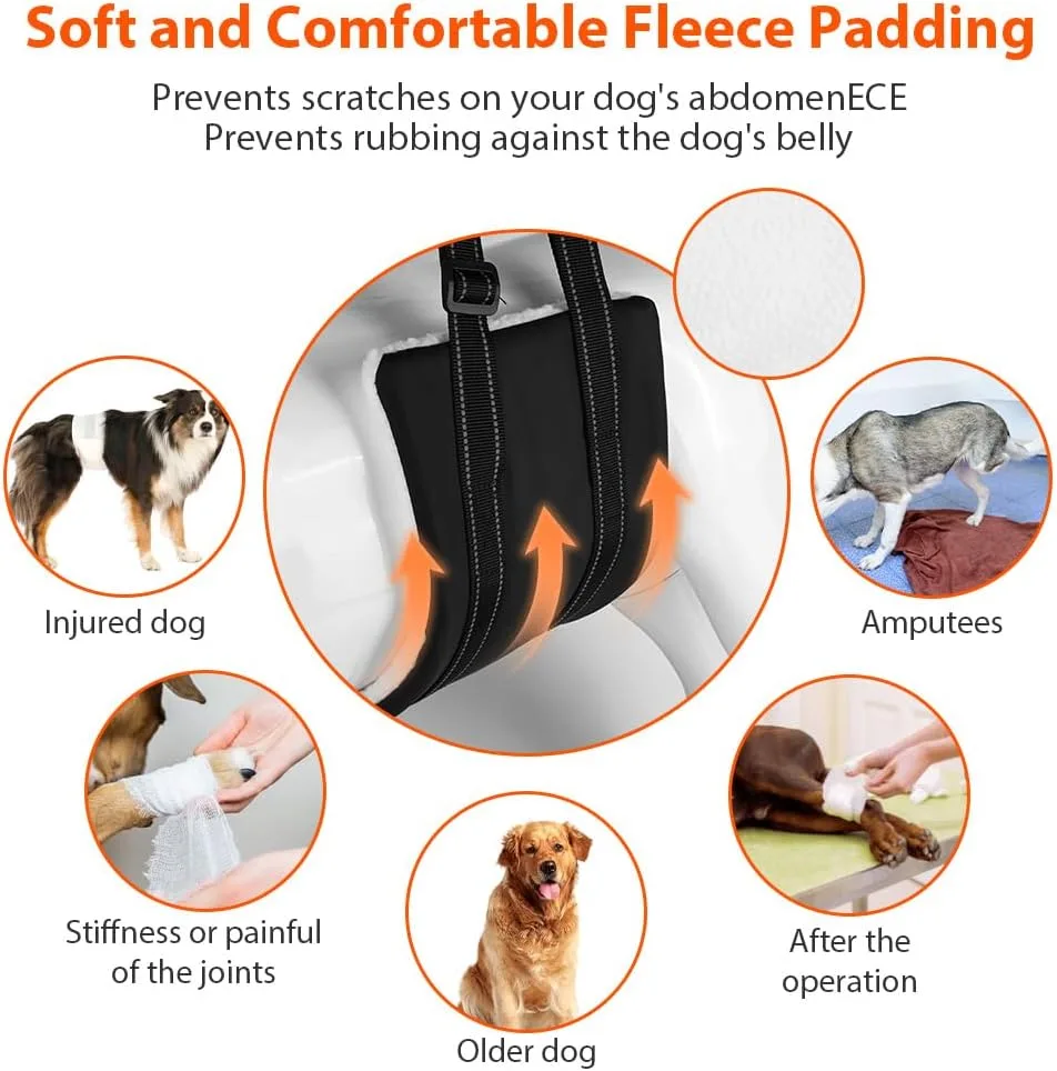AOOHA Arnés para Perro Discapacitado, Arnes Perro Patas Traseras, Arnés Ajustable para Elevación, Apoyo, Esponjoso y Cómodo, para Apoyar a Perros Mayores, Heridos y Discapacitados foto 3