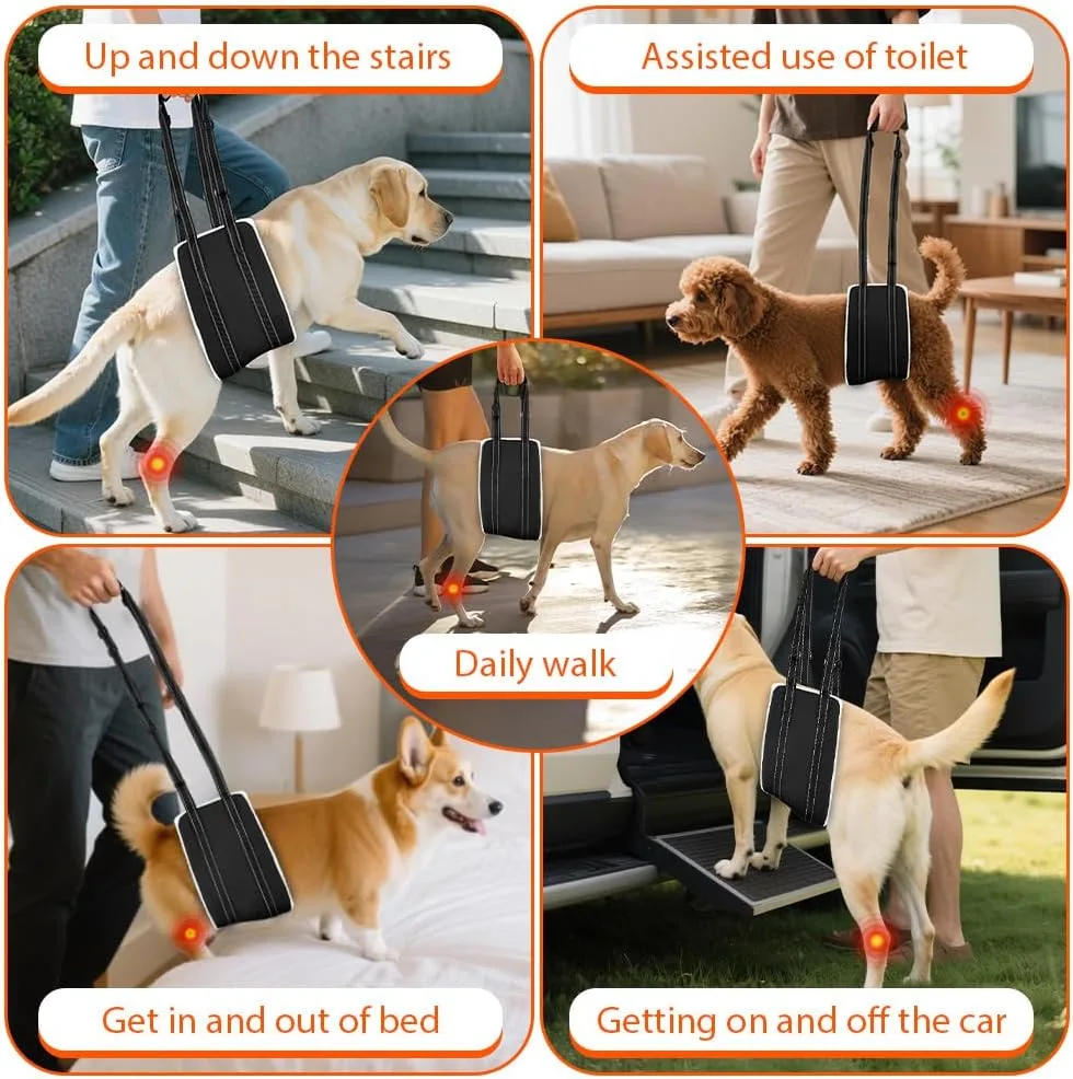 AOOHA Arnés para Perro Discapacitado, Arnes Perro Patas Traseras, Arnés Ajustable para Elevación, Apoyo, Esponjoso y Cómodo, para Apoyar a Perros Mayores, Heridos y Discapacitados foto 6