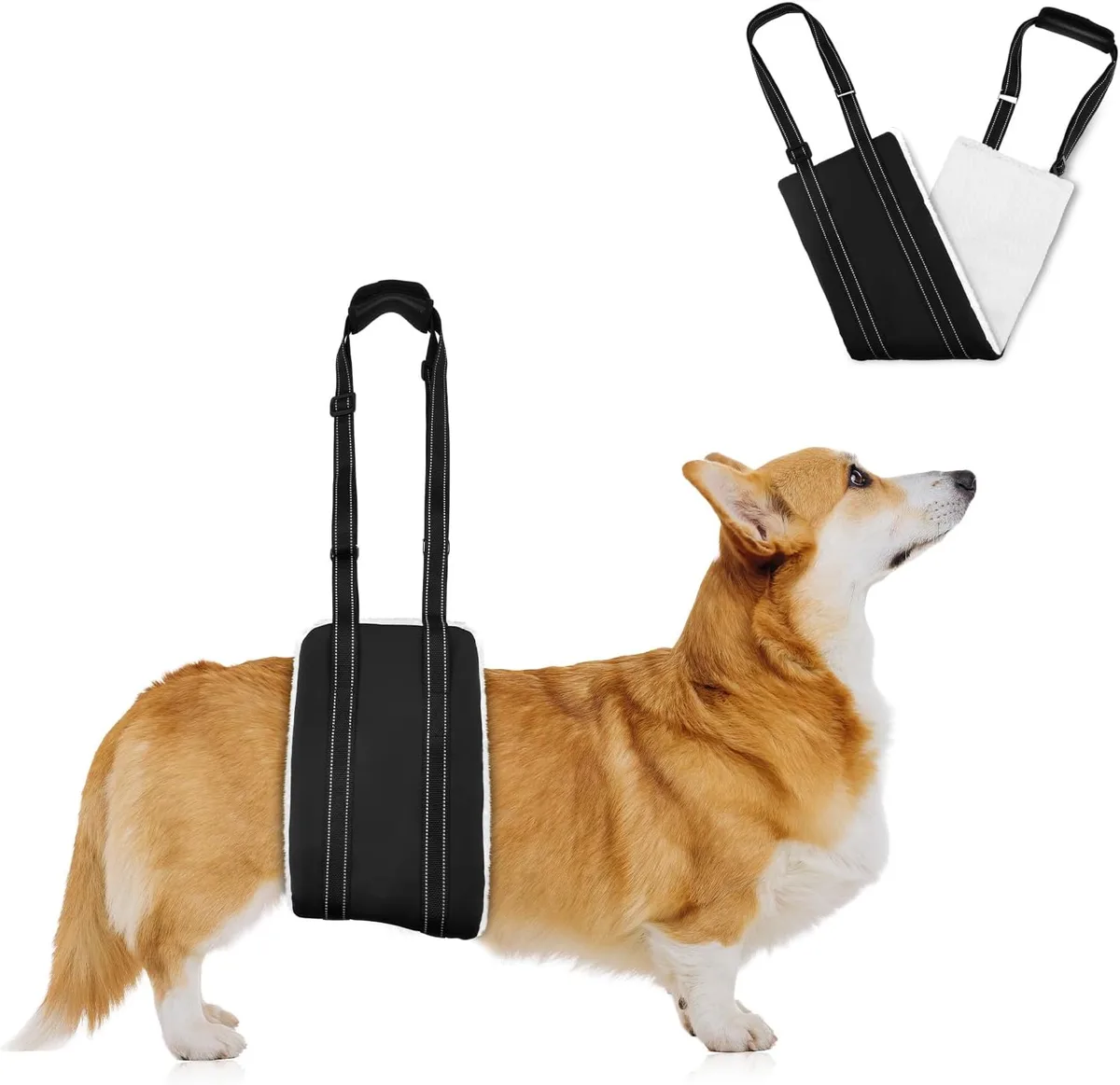 AOOHA Arnés para Perro Discapacitado, Arnes Perro Patas Traseras, Arnés Ajustable para Elevación, Apoyo, Esponjoso y Cómodo, para Apoyar a Perros Mayores, Heridos y Discapacitados foto 7