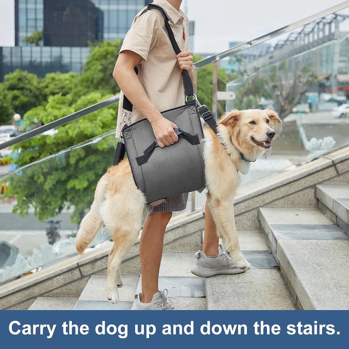 Coodeo Eslinga de Transporte para Perros, Mochila de Emergencia, Soporte para Las Piernas de Las Mascotas Y Arnés de Elevación para Perros de Rehabilitación para Cortar Las Uñas foto 2