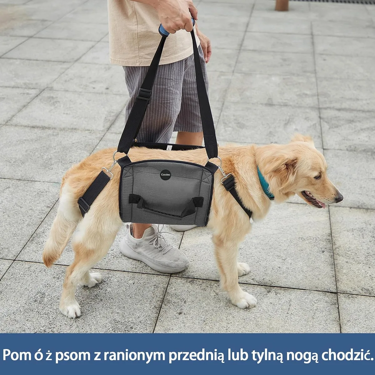 Coodeo Eslinga de Transporte para Perros, Mochila de Emergencia, Soporte para Las Piernas de Las Mascotas Y Arnés de Elevación para Perros de Rehabilitación para Cortar Las Uñas foto 3