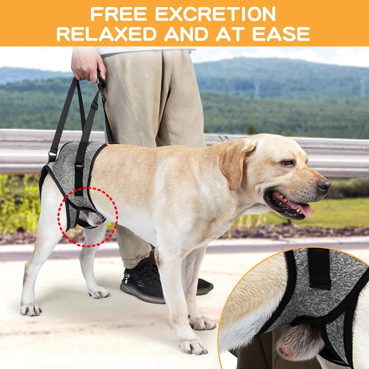 Dokeno Arnés de Elevación para Perros - Arnes Ayuda Perro, Arnes de Transporte para Perros, Suave, Ajustable para apoyar a Perros Mayores, Heridos y Discapacitados (Gris) foto 3