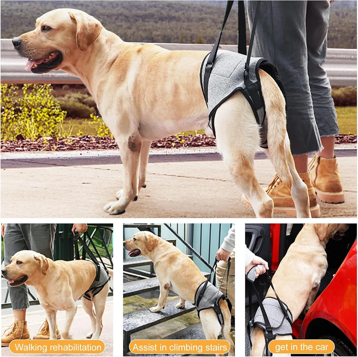 Dokeno Arnés de Elevación para Perros - Arnes Ayuda Perro, Arnes de Transporte para Perros, Suave, Ajustable para apoyar a Perros Mayores, Heridos y Discapacitados (Gris) foto 5