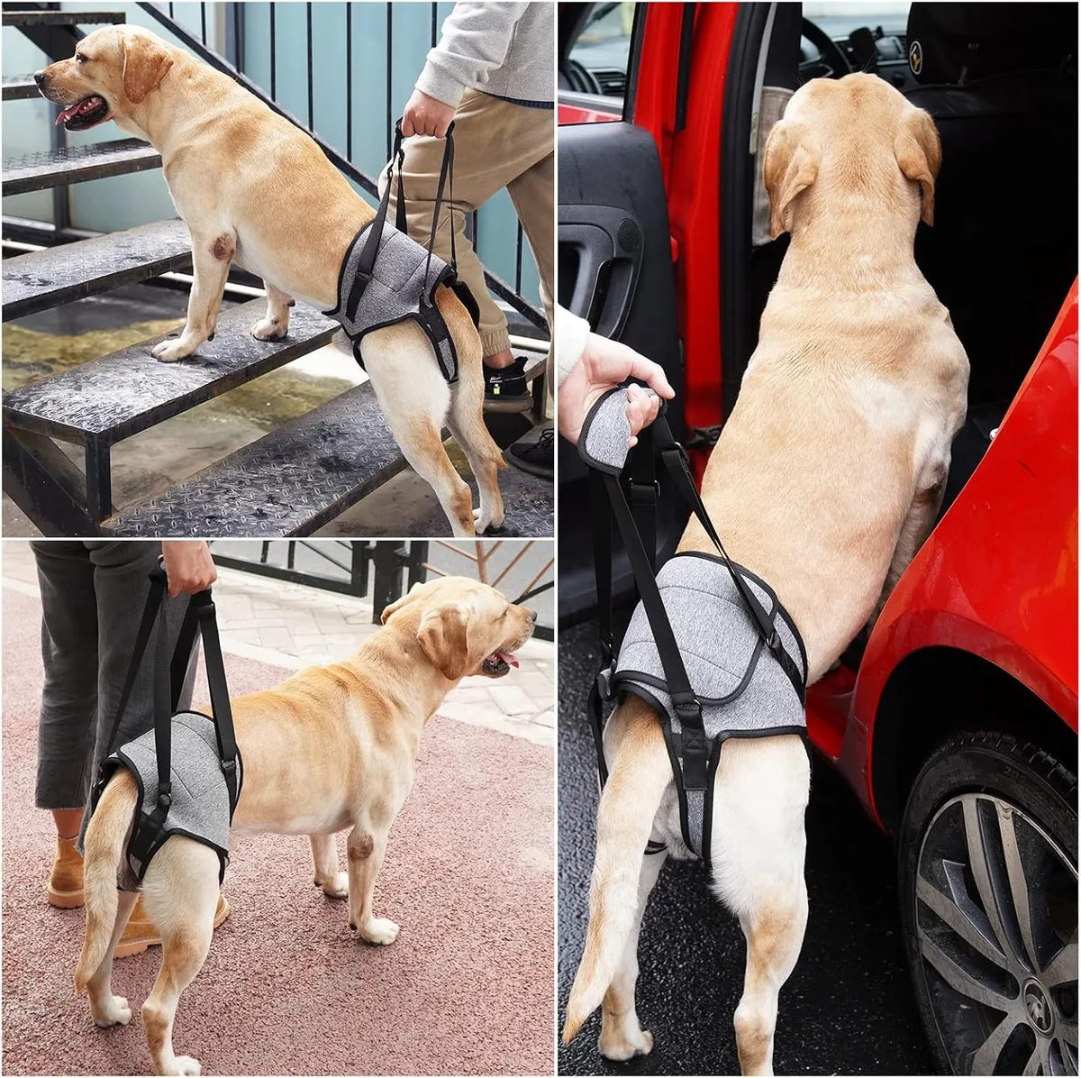 Dotoner Arnés de Levantamiento de Perros, arnés de Apoyo para Patas traseras, Correa de Apoyo Suave para Perros lesionados discapacitados, pequeños, medianos y Grandes foto 3