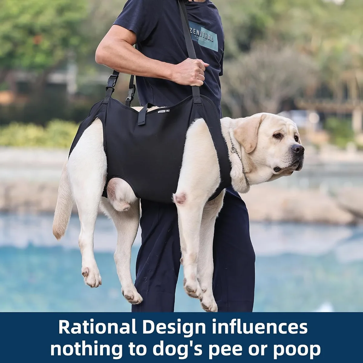 Duuclume Arnés de Elevación para Perros, Mochila de Emergencia Portador de Cabestrillo para Soporte de Patas de Mascotas y Rehabilitación, Correas de Elevación Ajustables foto 4