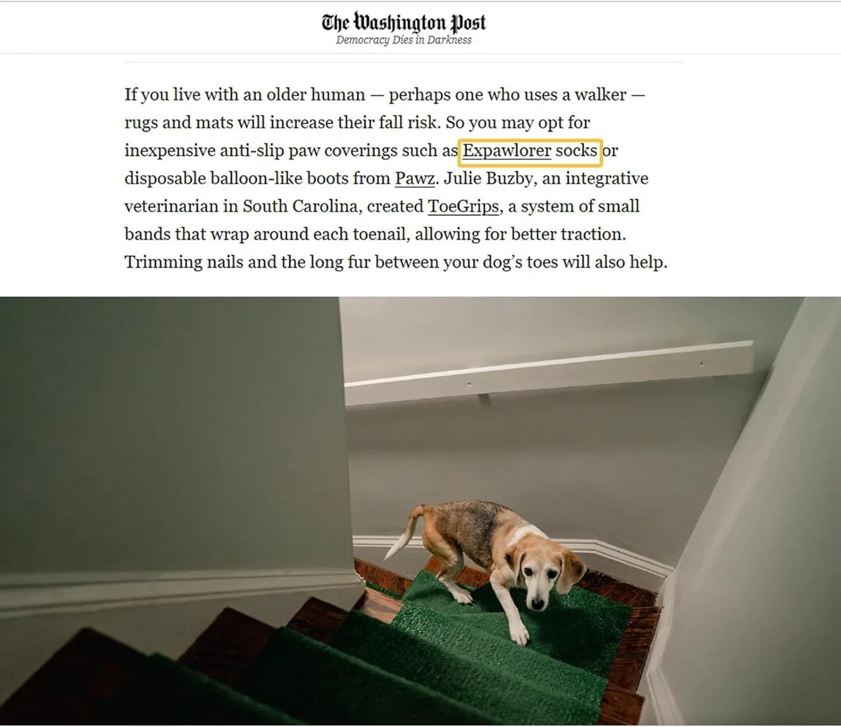 EXPAWLORER Calcetines para Perros con Agarres, Antideslizantes de Doble Cara para Suelos de Madera Dura, Ajustables con Tracción Adicional para Perros Pequeños, Medianos y Grandes foto 4