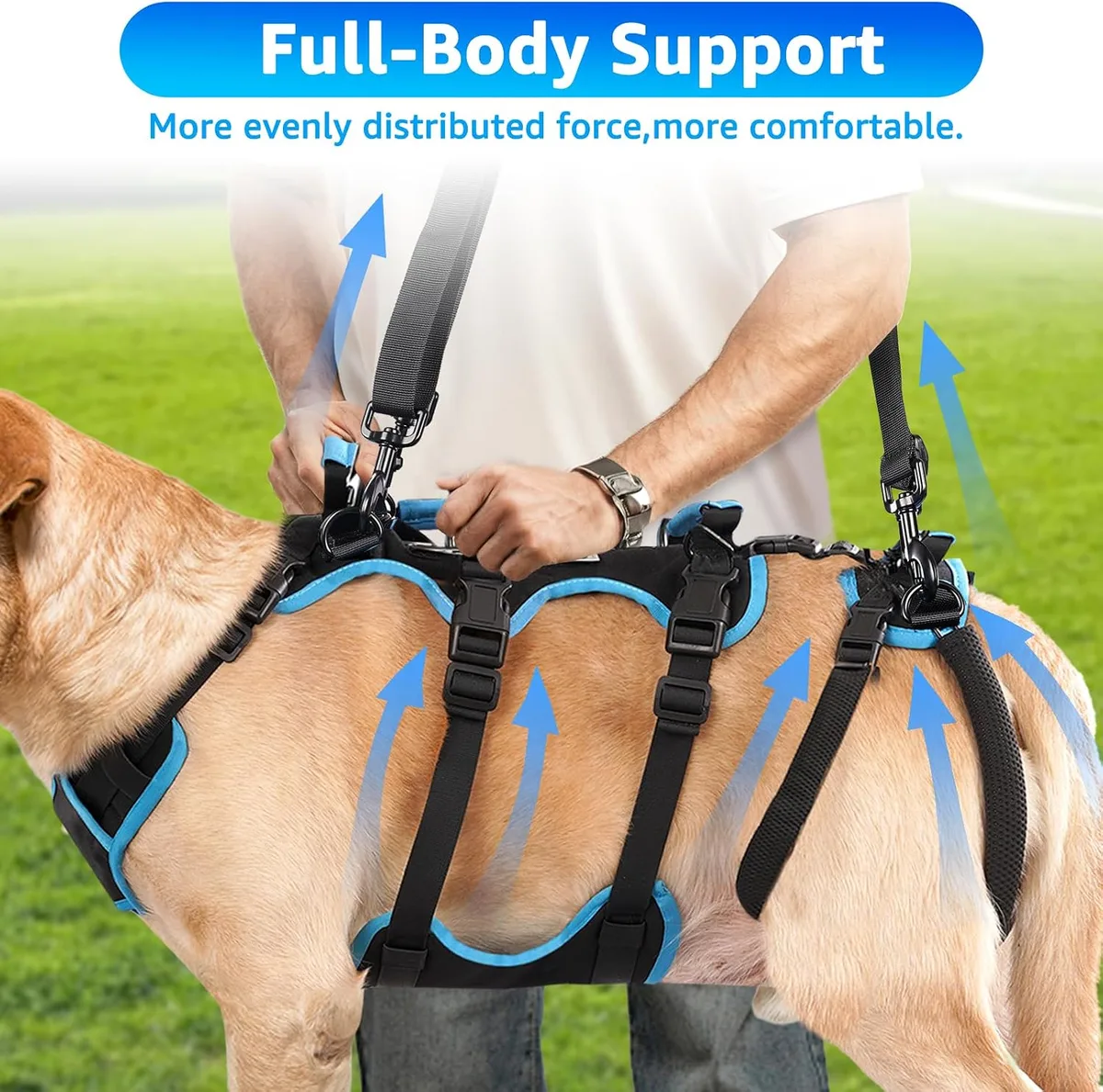 Lafoty Arnés de Levantamiento para Perros Machos Grandes – Arnés 2 en 1 de Ayuda para Levantar, Apoyo para Las Patas Traseras y Asistencia en Movilidad para Perros Mayores (Negro, Grande) foto 4