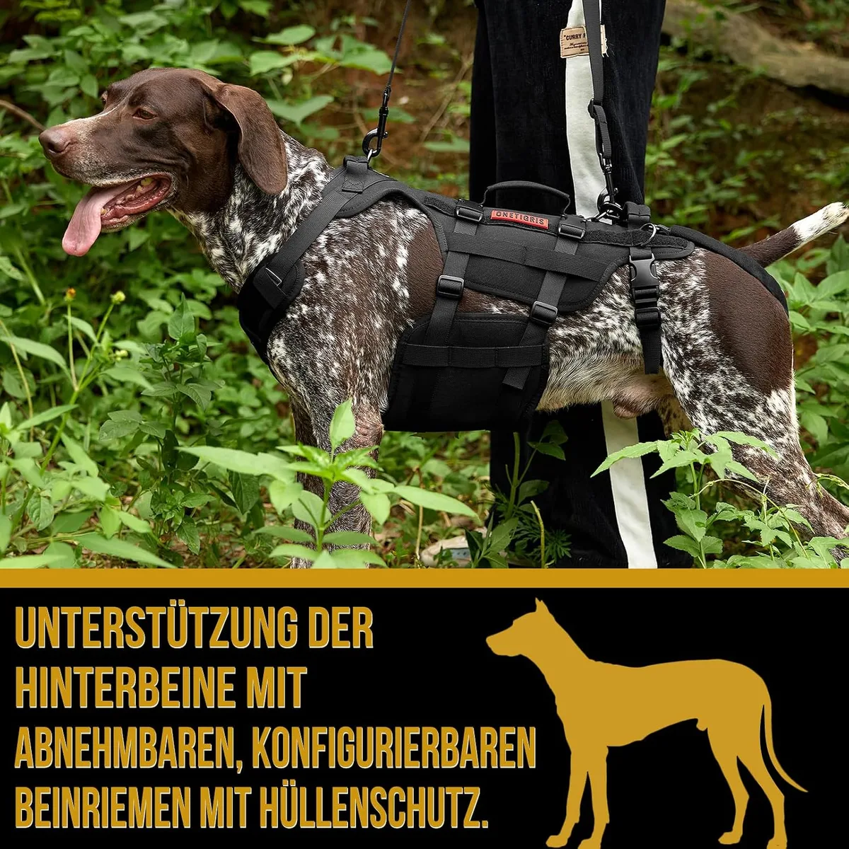 OneTigris Arnés de Apoyo Invictus para Perros Medianos y Grandes - Arnés de Elevación y Seguridad Con 3 Asas, Correas Ajustables Desmontables y Correas Traseras foto 6