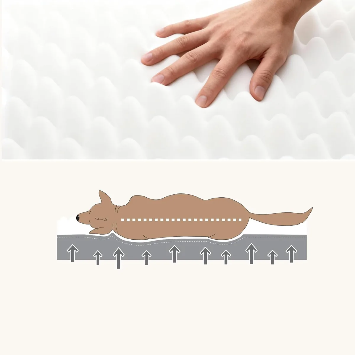 WAVVE Cama Perro Extra Grande Ortopédica 112x81x7.6 cm, Colchon Perro Desenfundable Impermeable Lavable Irrompible, Cama Can con Espuma De Caja De Huevos, Dog Bed XL, Gris foto 5